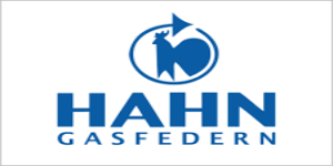 HAHN Gasfedern